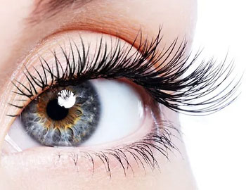  Plymstock Plymouth HD Brows Plymstock Plymouth, LVL Lashes Plymstock Plymouth, Mina Henna Brows Plymstock Plymouth, Plymstock Plymouth